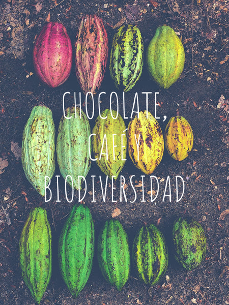 Chocolate, Café y Biodiversidad.